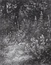Bos Bloemen 1873