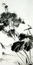 Lotus - pittura cinese