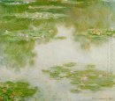 Water Lilies 28