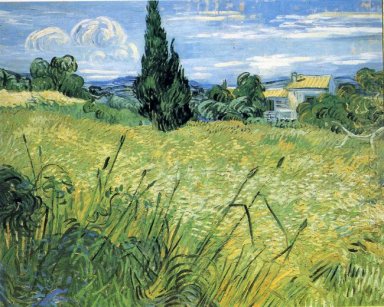 Green Wheat Field With Cypress 1889 1