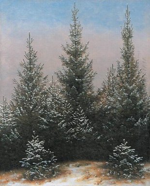 Fir Pohon Di Salju