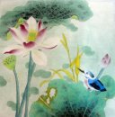 Lotus - pintura chinesa