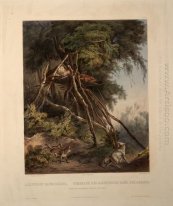Tombe dei Assiniboin indiani sugli alberi, piastra 30 da volume