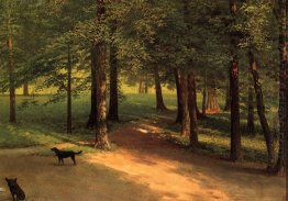 irvington woods