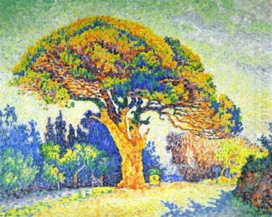 The Pine Tree At St Tropez 1909