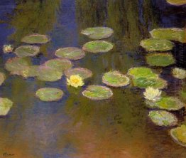 Lilies Air 1.899 2