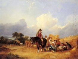 Tempo de colheita