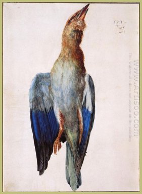 dead bluebird 1512