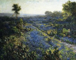 Bidang Texas Bluebonnets Dan Prickly Pear Cacti