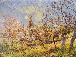 fruktträdgård våren 1881