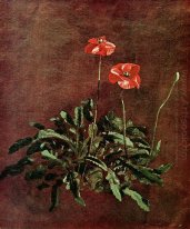 study for poppies