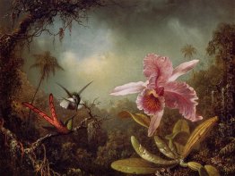 Anggrek dengan Dua Hummingbirds