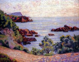 Paysage Du Midi