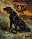 Dun, een Gordon Setter Van Comte Alphonse de Toulouse-La