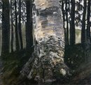 Birch Dalam Hutan A