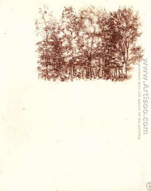 Birch bosque c. 1500