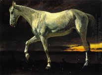 caballo blanco y la puesta del sol