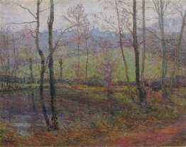 Paisagem arborizada
