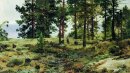 Sul terreno sabbioso Maria Howie sulle ferrovie finlandesi 1890