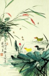 Lotus - Chinese Painting