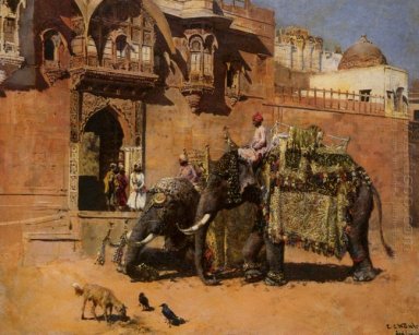 Elefanter på Palace i Jodhpore