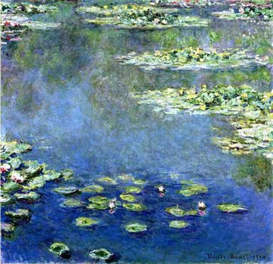 Water Lilies 1907 1