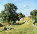 Betesmark Old Lyme