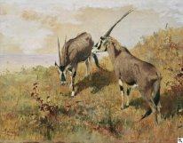 Deux antilopes