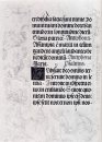 Pagine di disegni marginali per l'imperatore Massimiliano s libr