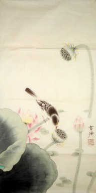 Lotus & Birds - Pittura cinese