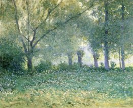 Morning Mist (também conhecido como Final da Primavera)
