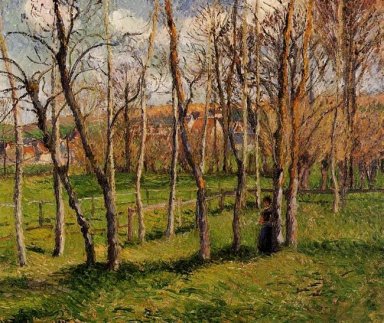 prairie à Bazincourt 1885
