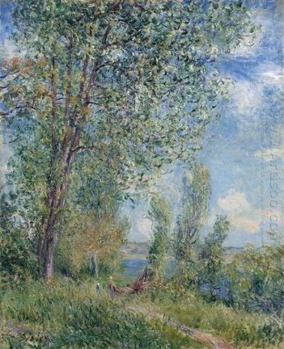 Pomeriggio ventoso maggio