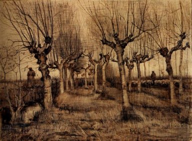 Pollard Vidoeiros 1884