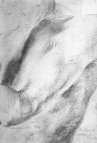 Onderarm Studie 1514