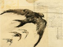 Vier gierzwaluwen Met Landschap Schetsen 1887