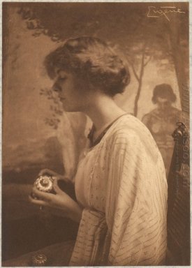Fröken Gladys Lawrence, The Seashell