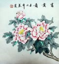 Peony - la pintura china