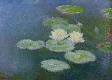 Water-Lilies, Evening Effect