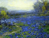 Утро в Bluebonnets