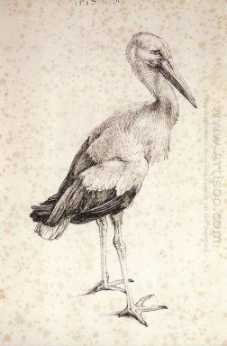 the stork 1515