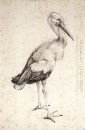 De ooievaar 1515