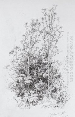 Fleurs sauvages 1884