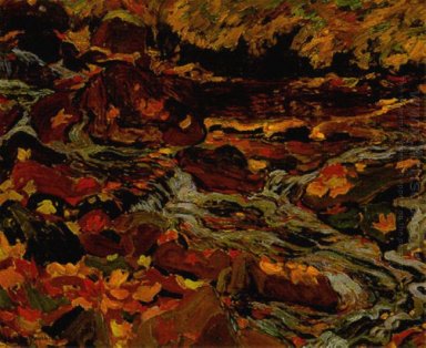 Hojas en el arroyo