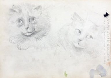 Sketsa OF CATS Burma