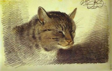 Kepala Cat