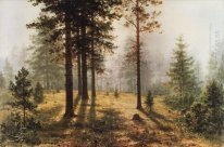 Brouillard Dans La Forêt