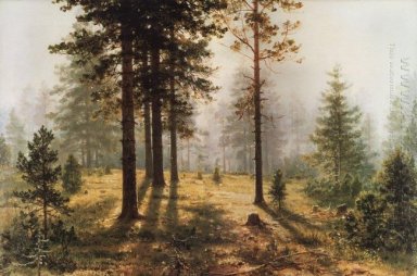 Brouillard Dans La Forêt