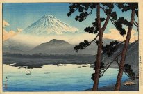 Fuji from Lake Shojin