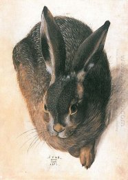 Hare 1528 1